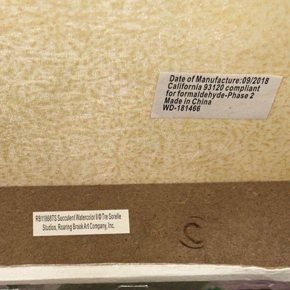 Tre Sorelle Studios "Succulent Watercolor" Painting Print 8" Stretched Canvas GU - Picture 13 of 14